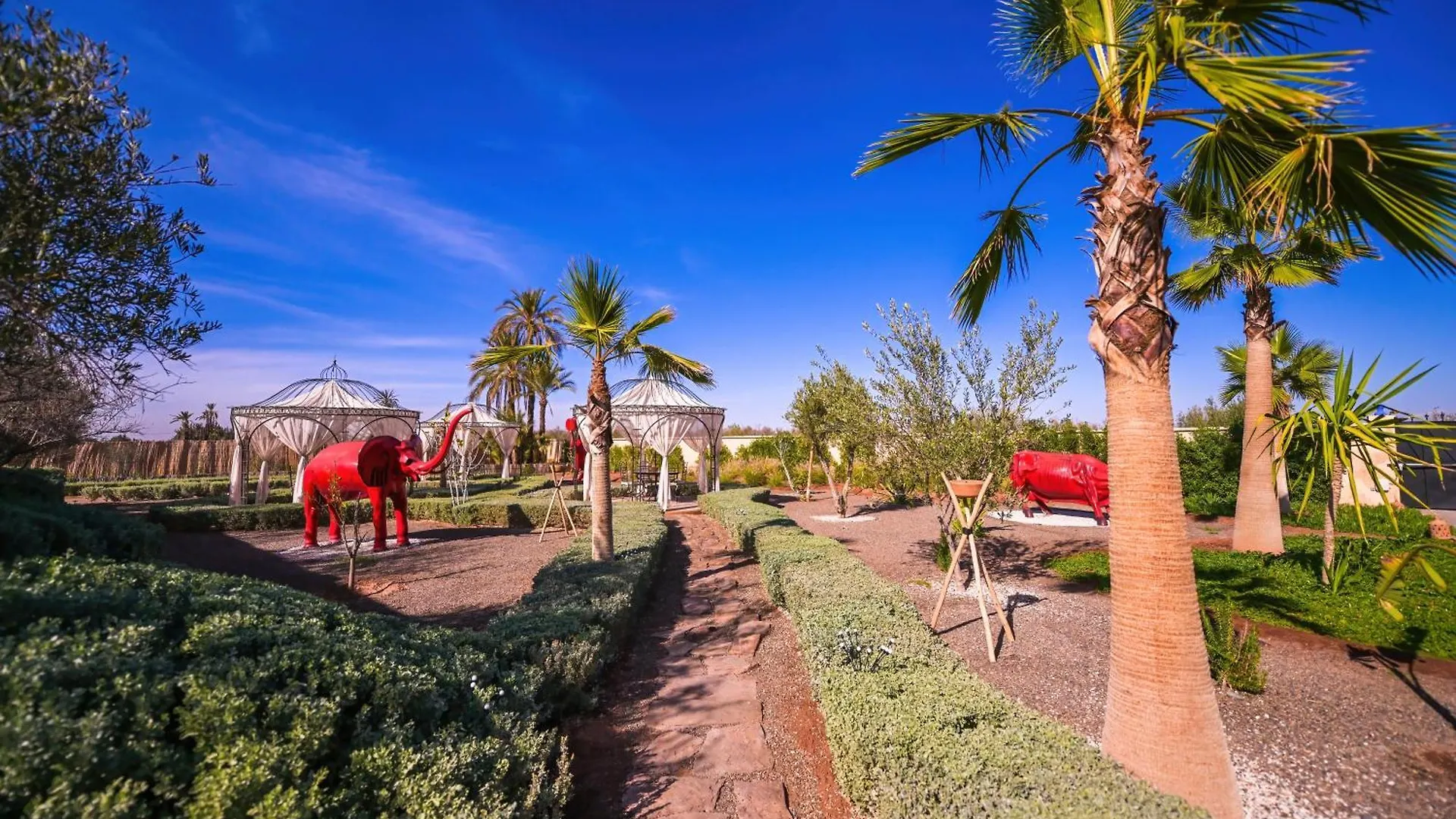 Gasthuis Maison Daouia Ouled Jelal